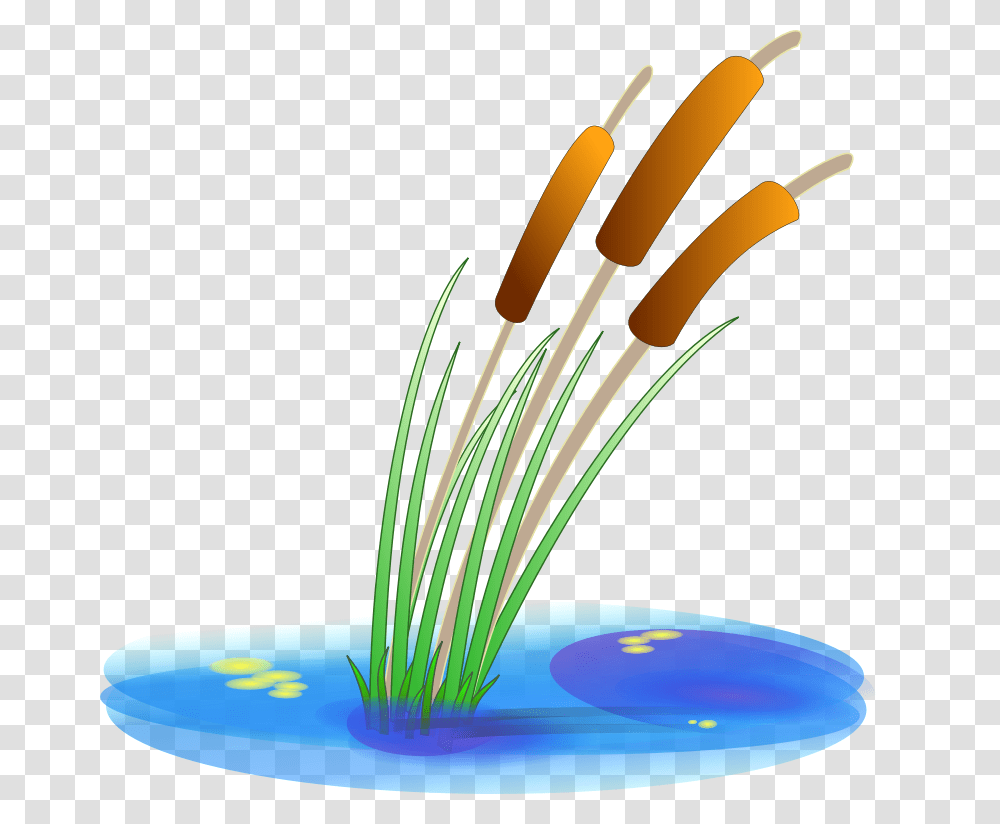 Anonymous Reed, Nature, Plant, Mixer, Appliance Transparent Png