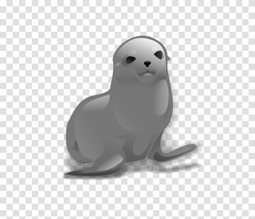 Anonymous Seal, Animals, Sea Life, Sea Lion, Mammal Transparent Png
