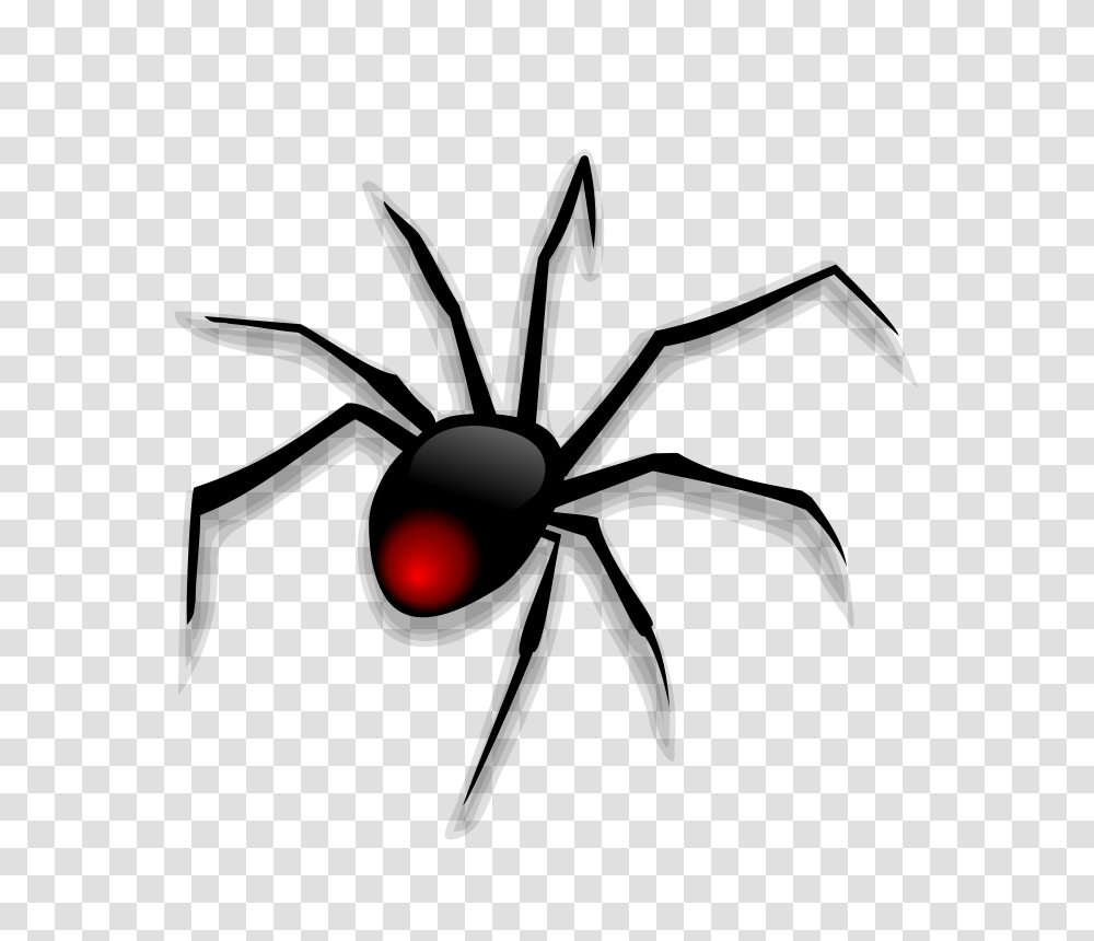 Anonymous Spider, Animals, Nature, Outdoors, Eclipse Transparent Png