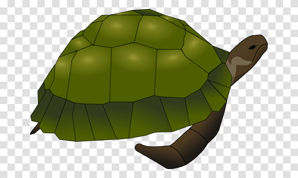 Anonymous Turtle, Animals, Soccer Ball, Football, Team Sport Transparent Png