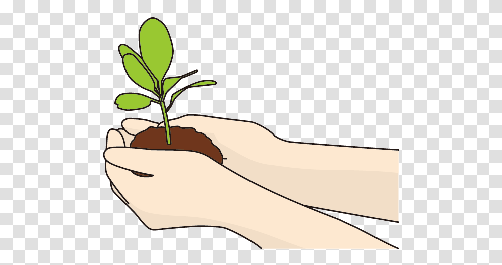 Another Opportunity Three Widsom, Soil, Plant, Hand, Planting Transparent Png