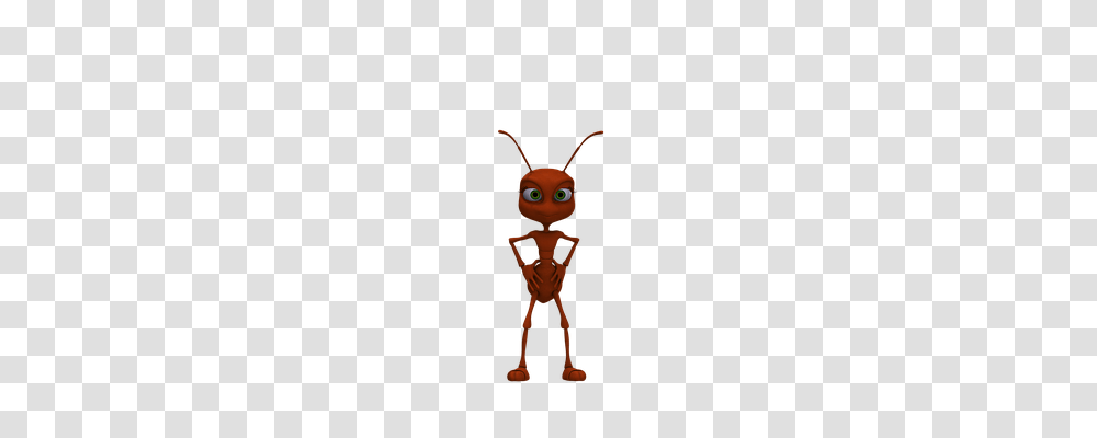 Ant Animals, Invertebrate, Insect, Toy Transparent Png