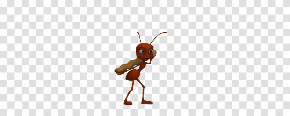 Ant Animals, Toy, Invertebrate, Insect Transparent Png