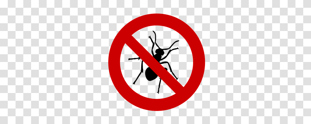 Ant Animals, Road Sign, Stopsign Transparent Png