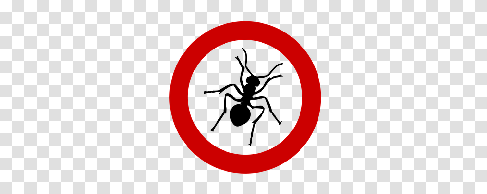 Ant Animals, Label Transparent Png