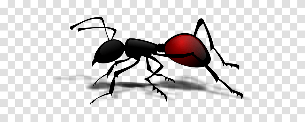 Ant Animals, Weapon, Weaponry, Bomb Transparent Png