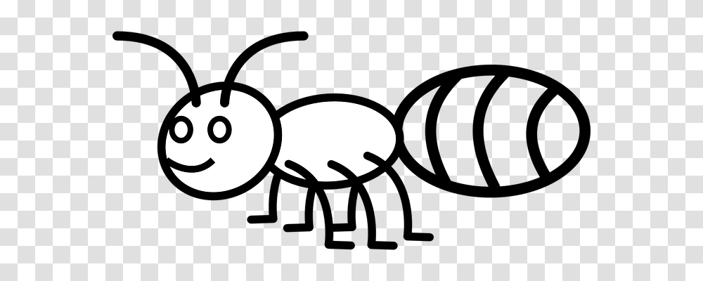 Ant Animals, Ball, Sport, Sports Transparent Png