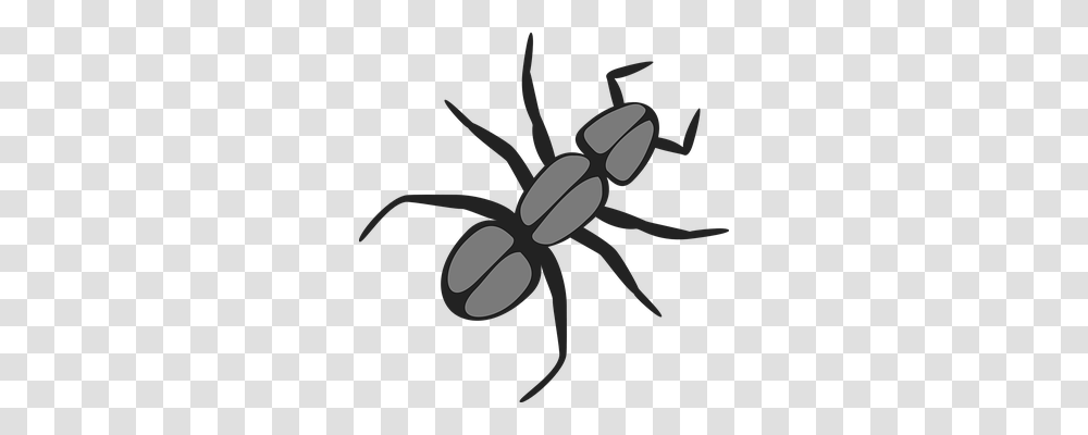 Ant Animals, Insect, Invertebrate, Scissors Transparent Png