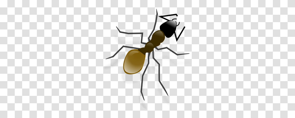 Ant Animals, Insect, Invertebrate, Scissors Transparent Png