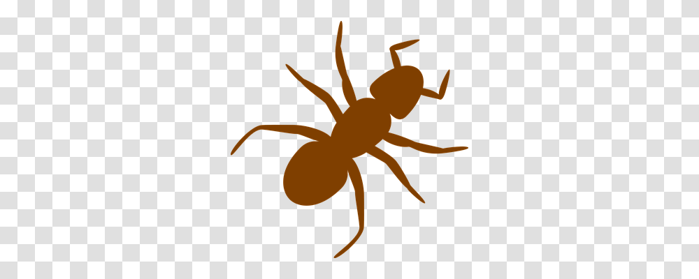 Ant Animals, Invertebrate, Insect, Axe Transparent Png