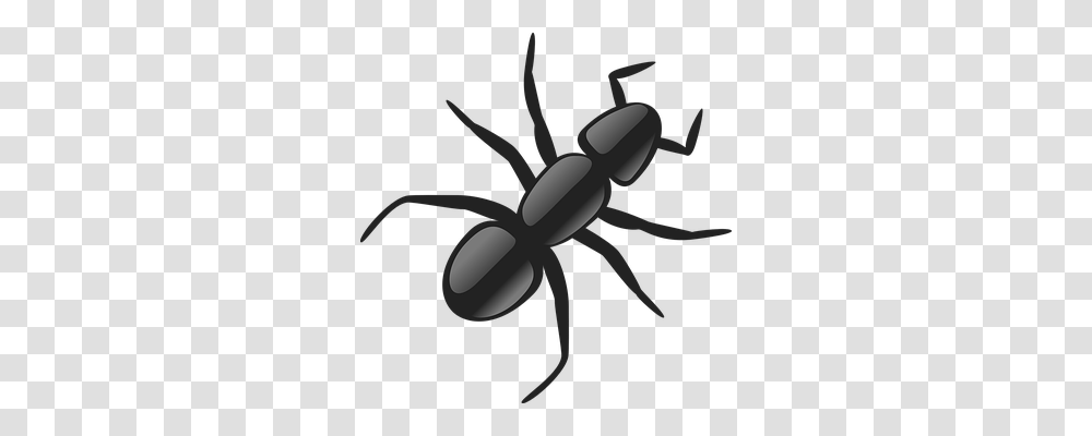 Ant Animals, Insect, Invertebrate, Scissors Transparent Png