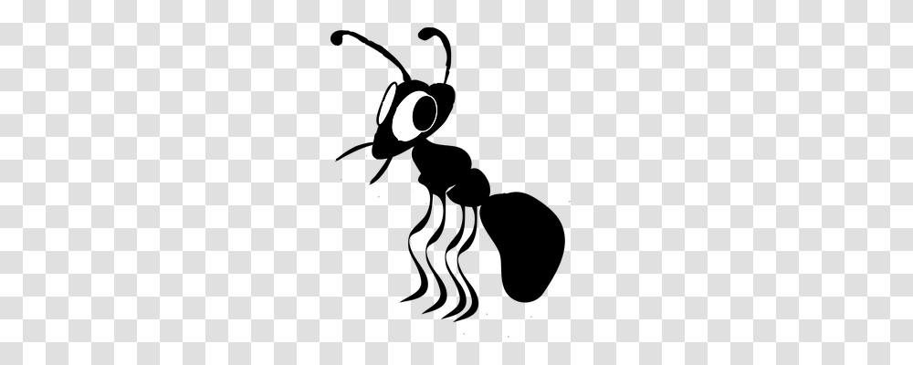 Ant Animals, Moon Transparent Png