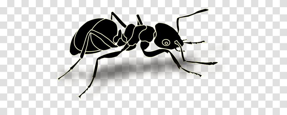Ant Finance, Animal Transparent Png