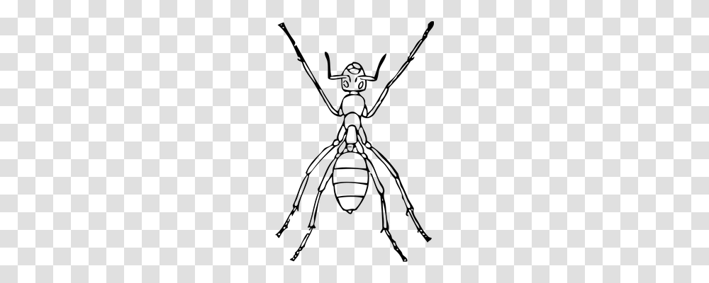 Ant Animals, Gray, World Of Warcraft Transparent Png