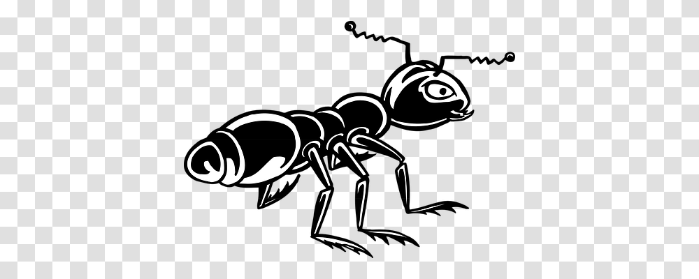 Ant Animals, Stencil, Hand Transparent Png