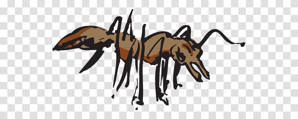 Ant Animals, Insect, Invertebrate, Wasp Transparent Png