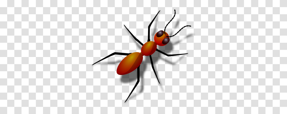 Ant Animals, Insect, Invertebrate, Balloon Transparent Png