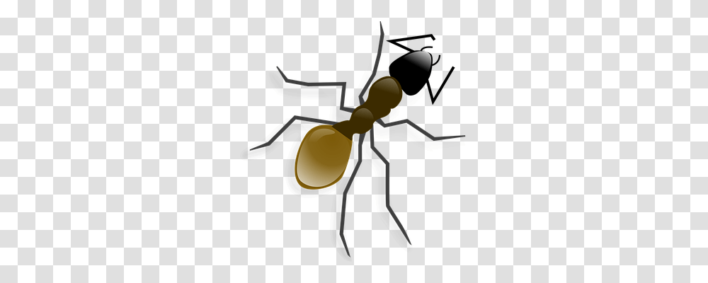 Ant 9437, Animals, Insect, Invertebrate, Lamp Transparent Png
