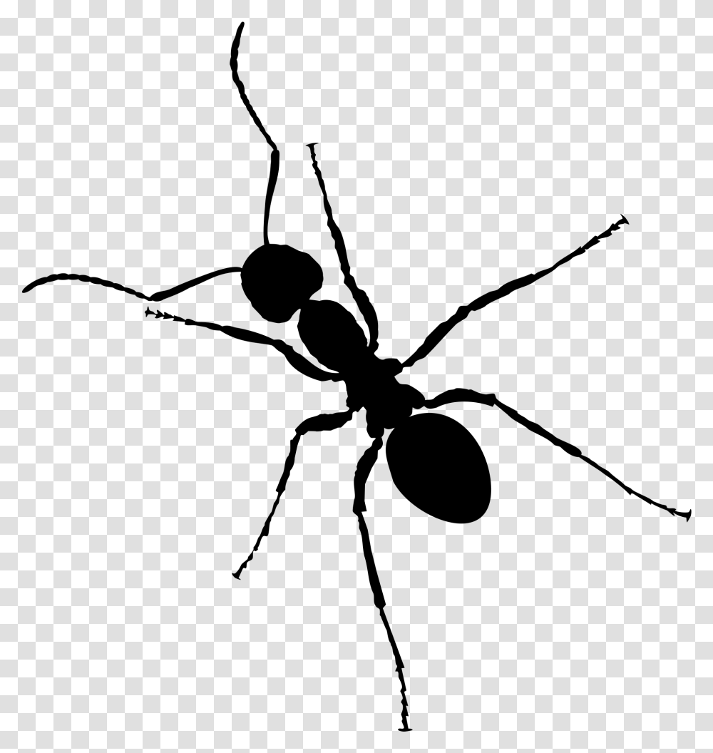 Ant Background Ants Clipart, Gray, World Of Warcraft Transparent Png