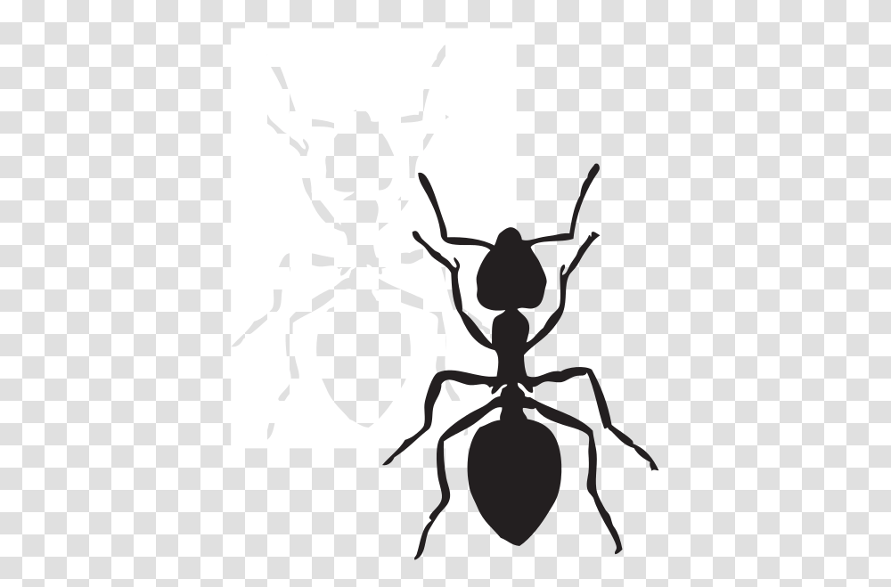 Ant Black And White Clipart Carson Dellosa, Insect, Invertebrate, Animal, Bird Transparent Png