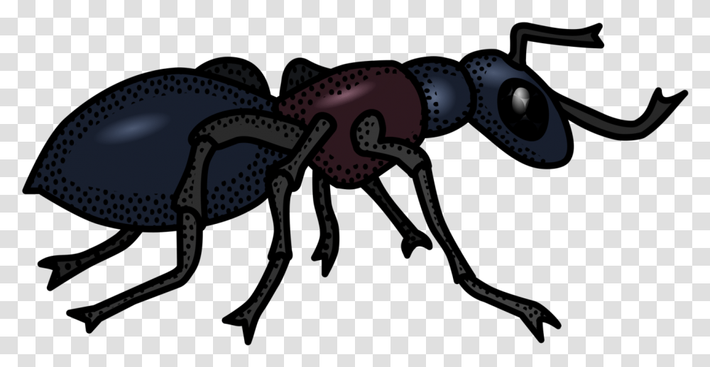 Ant Black And White, Insect, Invertebrate, Animal, Bicycle Transparent Png