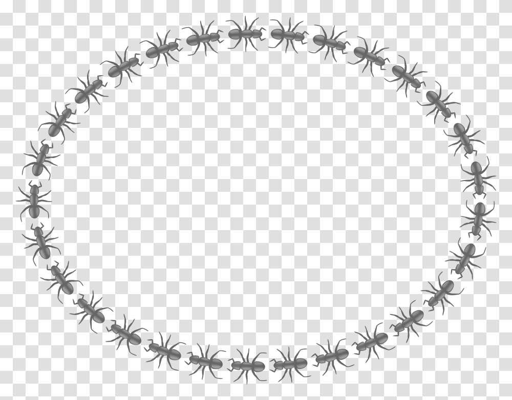 Ant Border Clipart Black And White Two Things Can Destroy Any Relationship, Oval, Wreath Transparent Png