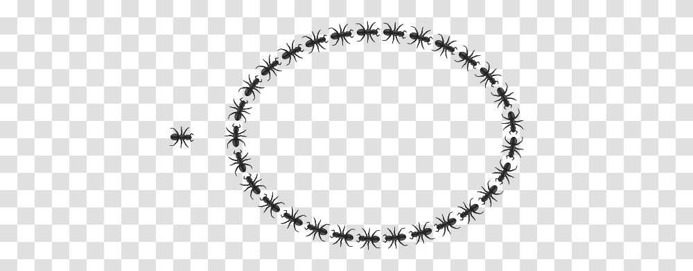 Ant Border Cliparts Free Download Clip Art, Rug, Oval Transparent Png