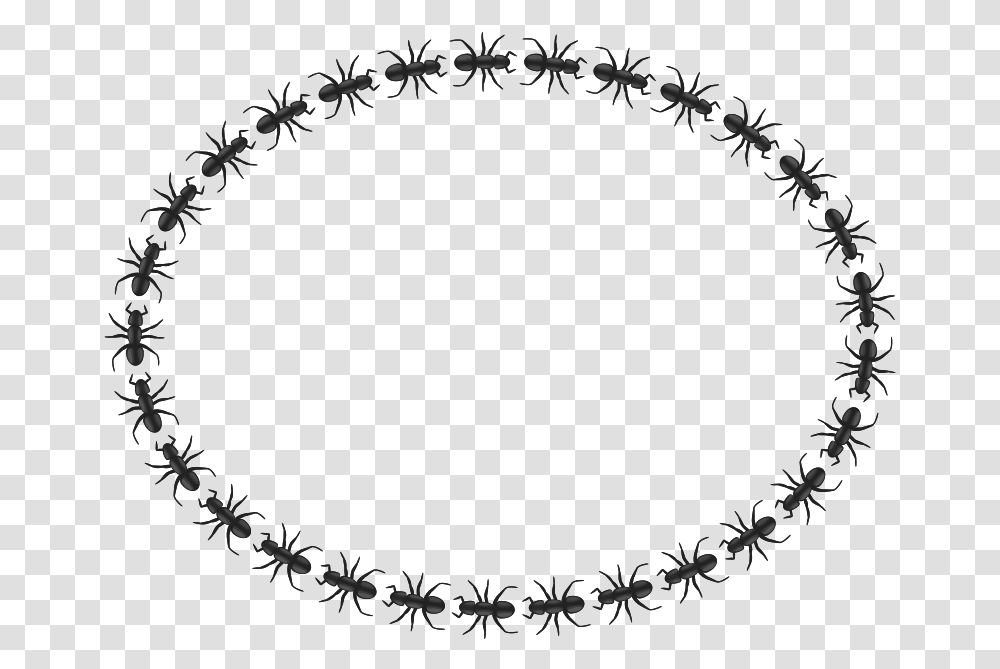 Ant Border Oval Icon Border Circle, Wreath, Gray Transparent Png