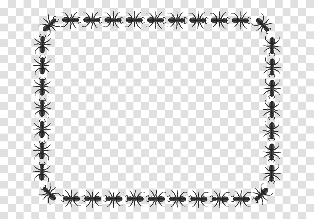 Ant Border Rectangle Clipart Insects Dragonfly Lady Bugs Snails, Gray, Outdoors, World Of Warcraft, Astronomy Transparent Png