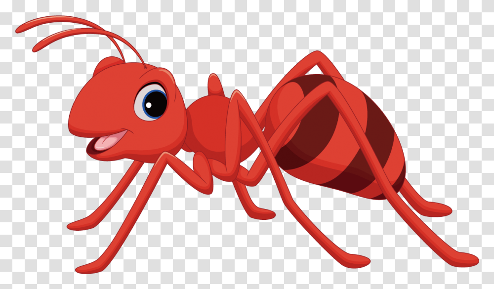Ant Cartoon Clip Art Cartoon Images Of Ant, Insect, Invertebrate Transparent Png