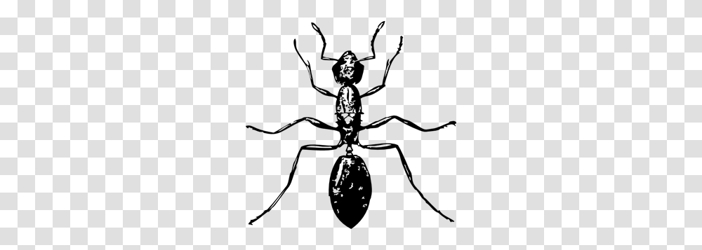 Ant Clip Art For Web, Gray, World Of Warcraft Transparent Png