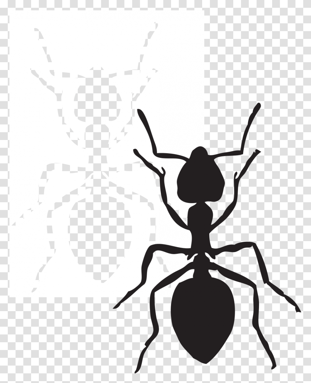 Ant Clip Art Free Stock Black And White Huge Freebie Download, Invertebrate, Animal, Insect Transparent Png
