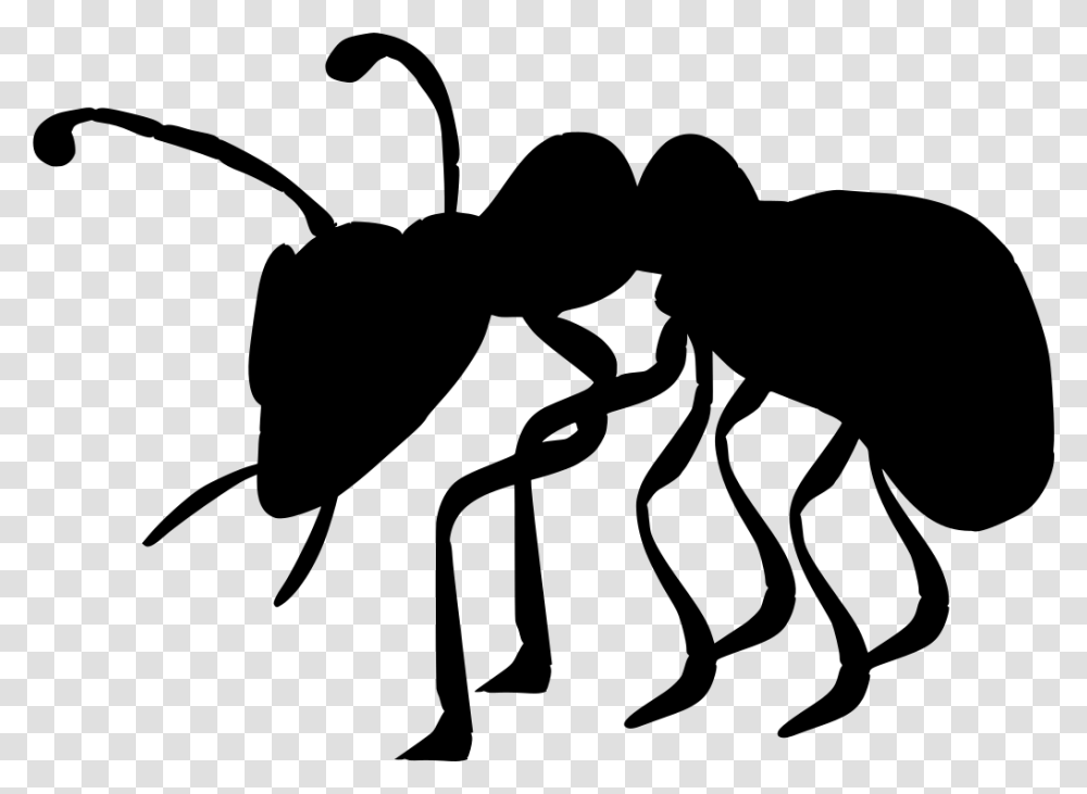 Ant Clip Art, Gray, World Of Warcraft Transparent Png