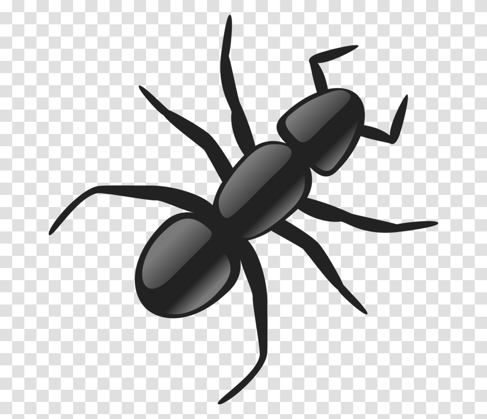Ant Clip Art, Insect, Invertebrate, Animal, Scissors Transparent Png