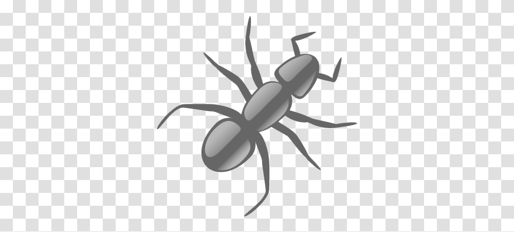 Ant Clip Art, Insect, Invertebrate, Animal Transparent Png
