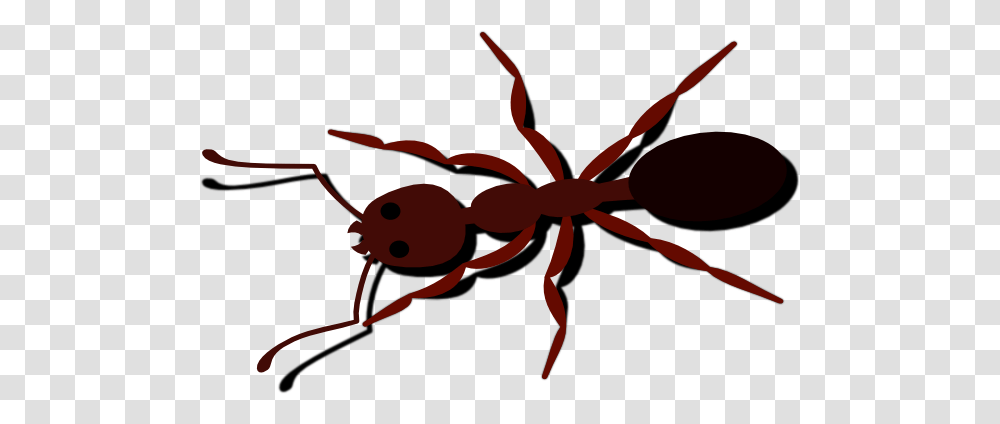 Ant Clip Art, Insect, Invertebrate, Animal Transparent Png