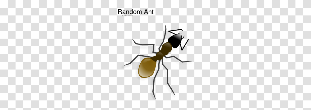 Ant Clip Art, Insect, Invertebrate, Animal, Wasp Transparent Png