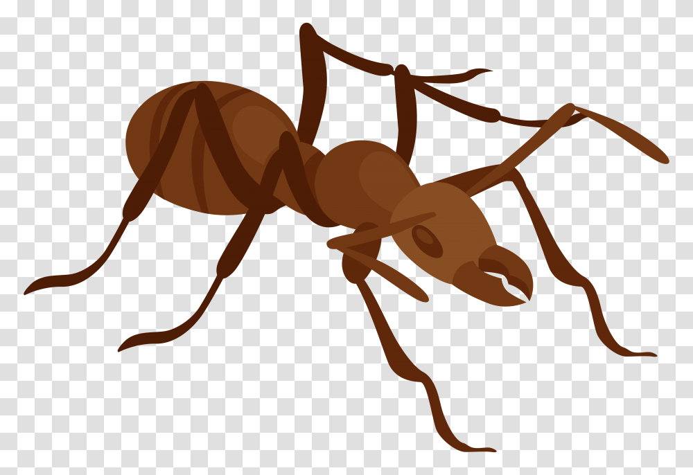 Ant Clip Art, Rust Transparent Png