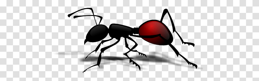 Ant Clip Arts For Web, Insect, Invertebrate, Animal Transparent Png