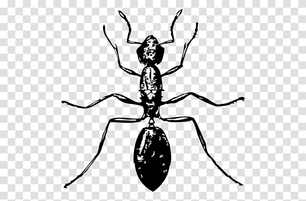 Ant Clipart Black And White Nice Clip Art, Gray, World Of Warcraft Transparent Png