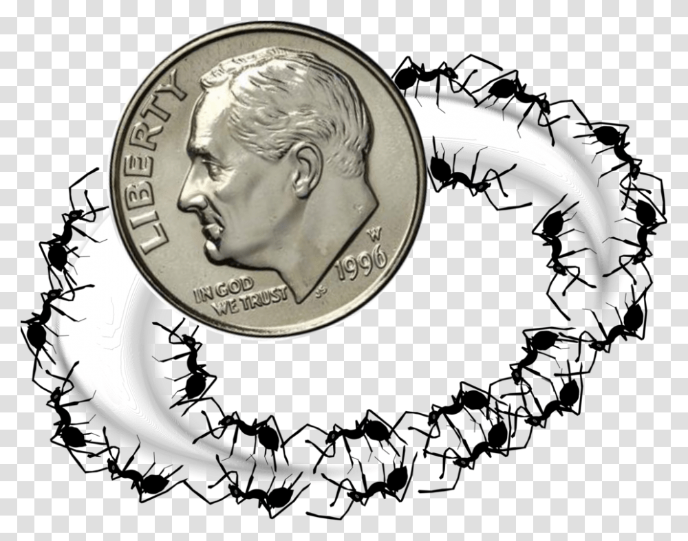 Ant Computer Icons Animal Formicarium Circle, Coin, Money, Dime, Person Transparent Png