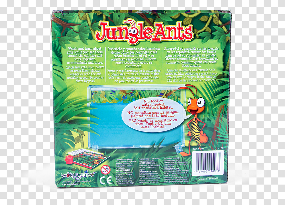 Ant Farm Jungle Ants, Flyer, Poster, Paper, Advertisement Transparent Png