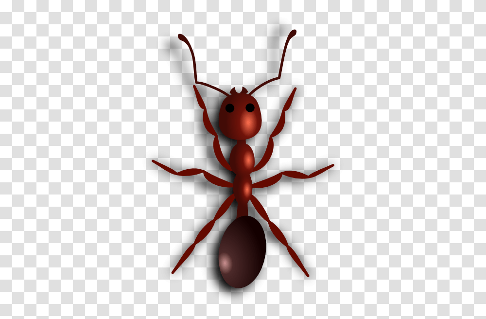 Ant Fire Ant Clipart, Animal, Invertebrate, Insect Transparent Png
