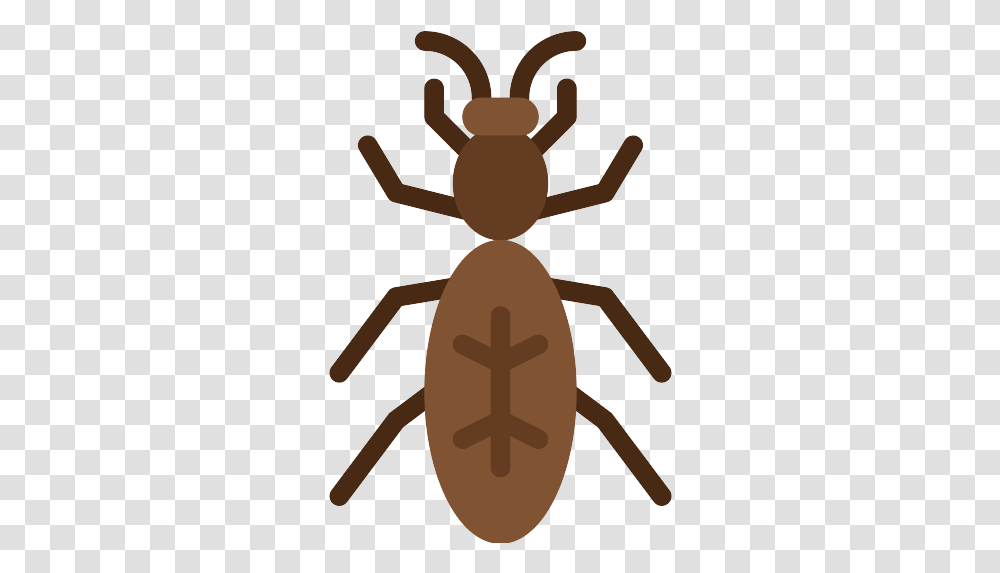 Ant Icon Ant, Insect, Invertebrate, Animal, Cross Transparent Png