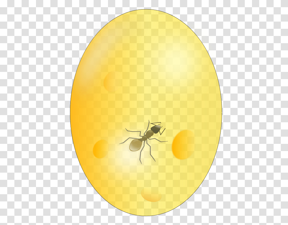 Ant In Amber, Insect, Invertebrate, Animal, Spider Transparent Png
