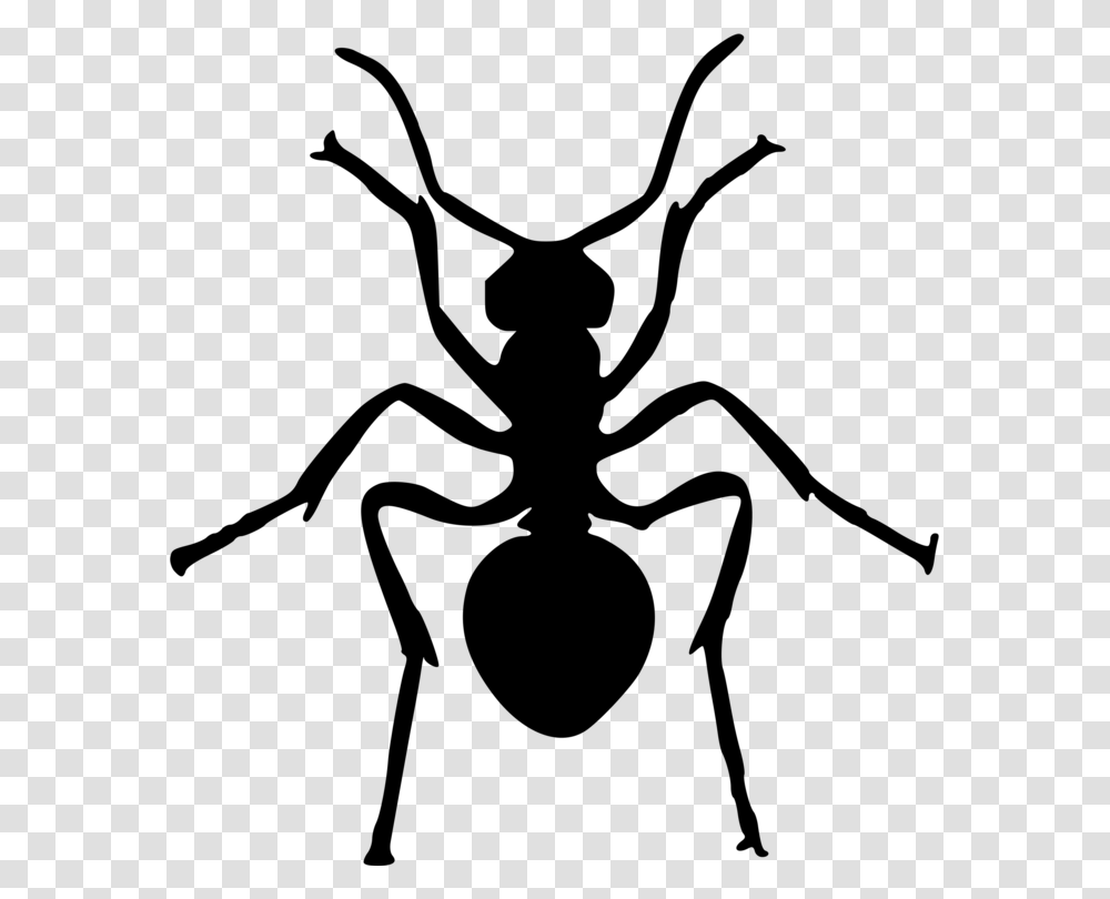 Ant Insect Art Silhouette Drawing, Gray, World Of Warcraft Transparent Png