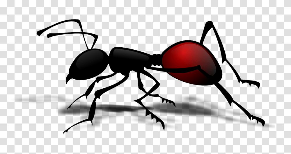 Ant Insect Clip Art, Invertebrate, Animal Transparent Png