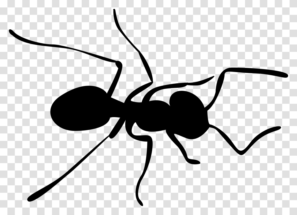 Ant, Insect, Gray, World Of Warcraft Transparent Png