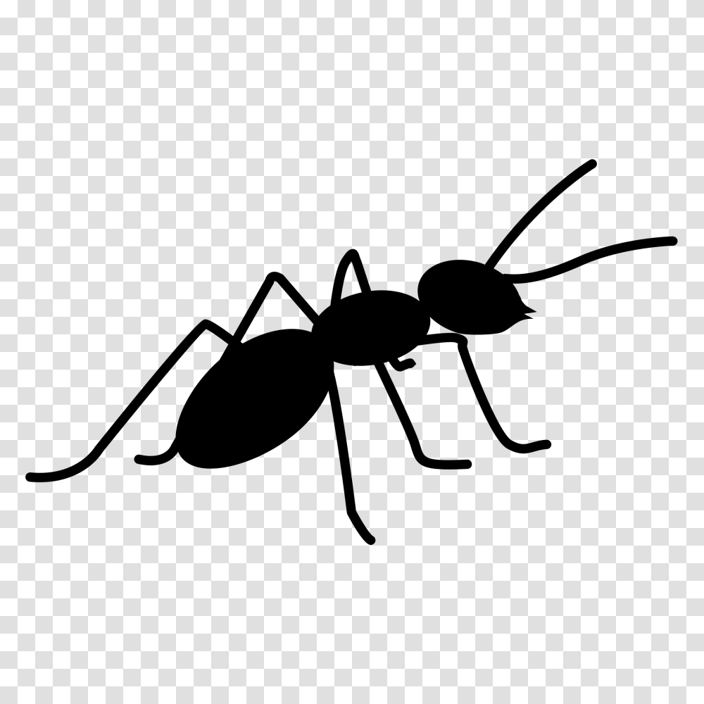 Ant, Insect, Gray, World Of Warcraft Transparent Png