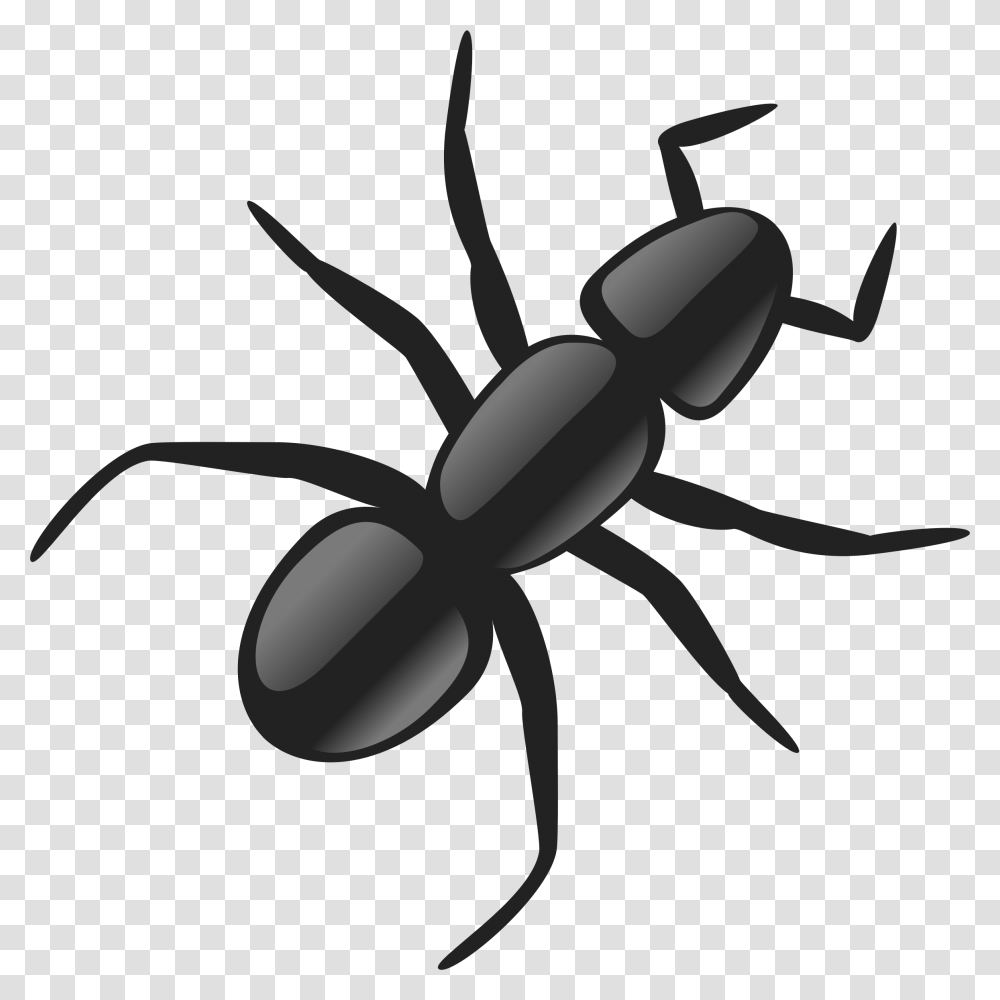 Ant, Insect, Invertebrate, Animal, Scissors Transparent Png